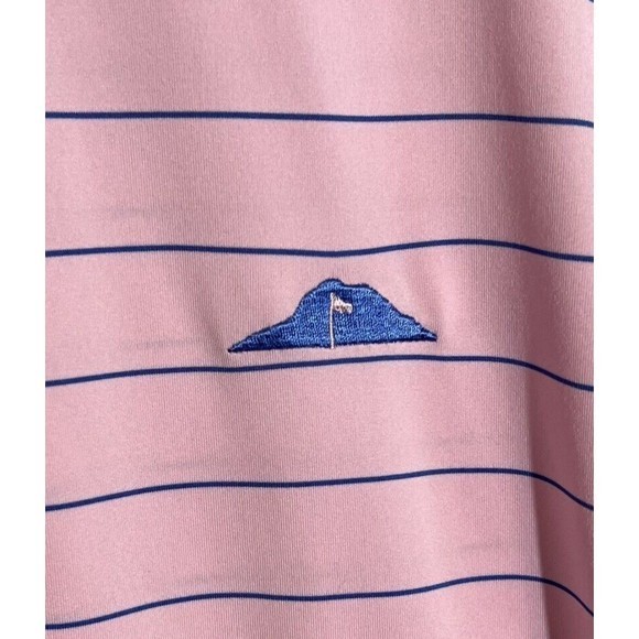 Fennec Polo Golf Shirt Men Medium Pink Blue Stripe Wicking Stretch Short Sleeve - Picture 6 of 10